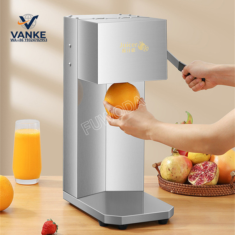 110V 220V Rvs Elektrische Oran - Kitchen Appliances recensie en prijs